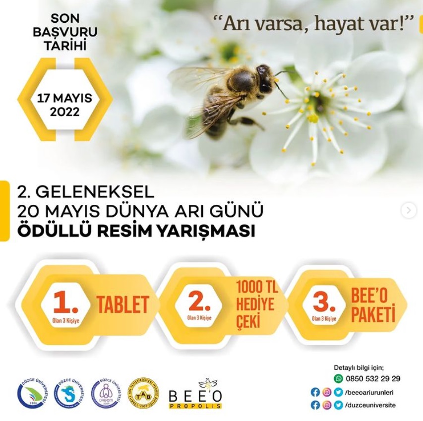 2. GELENEKSEL 20 MAYIS DÜNYA ARI GÜNÜ RESİM YARIŞMASI – ARI VARSA HAYAT VAR