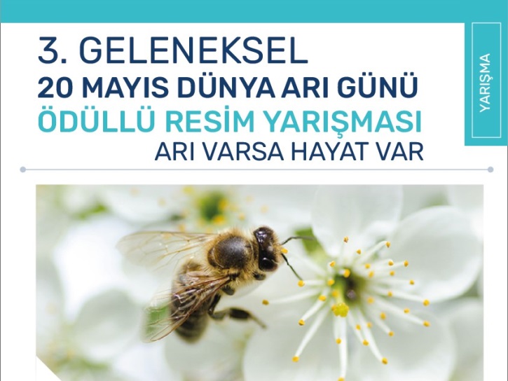 3. GELENEKSEL 20 MAYIS DÜNYA ARI GÜNÜ ÖDÜLLÜ RESİM YARIŞMASI ARI VARSA HAYAT VAR 2023